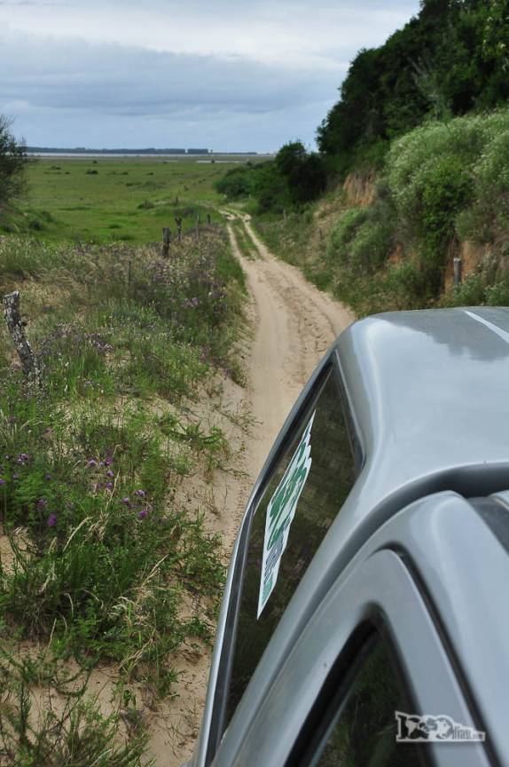 Dirigindo pelas trilhas do Parque Nacional da Lagoa do Peixe, no sul do Rio Grande do Sul, entre a Lagoa dos Patos e o Oceano Atlântico